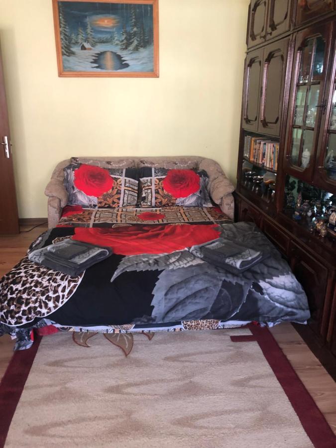 La Symo Apartament Straja Lupeni Lupeni  외부 사진