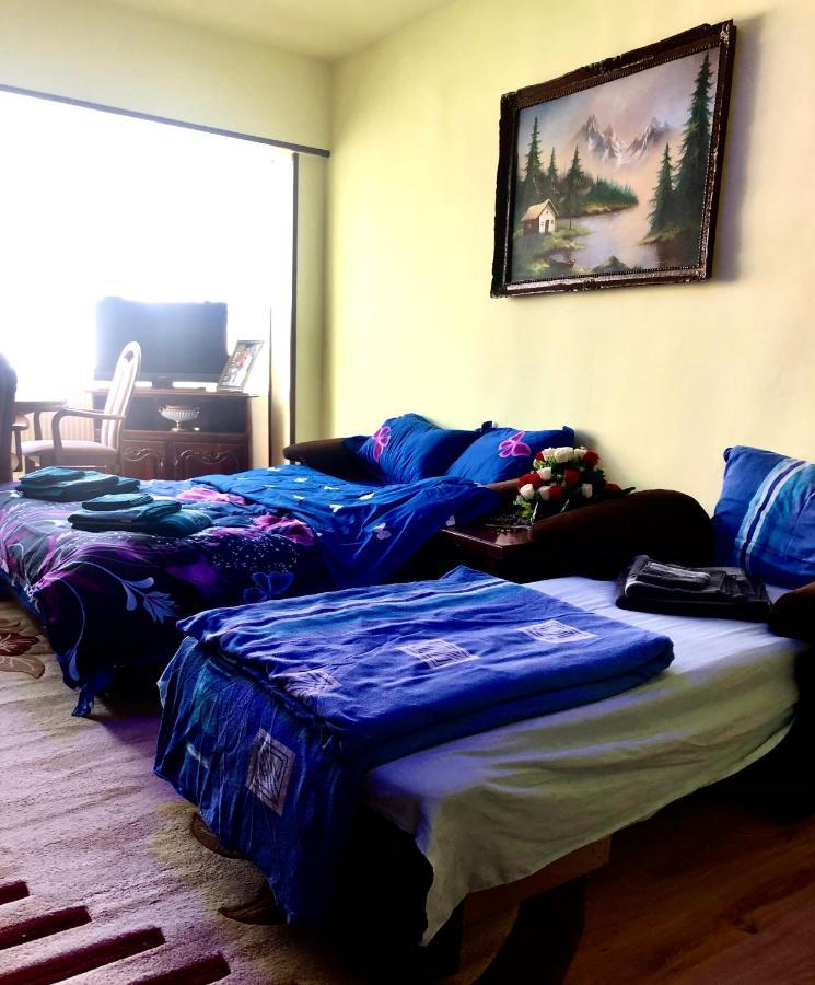 La Symo Apartament Straja Lupeni Lupeni  외부 사진