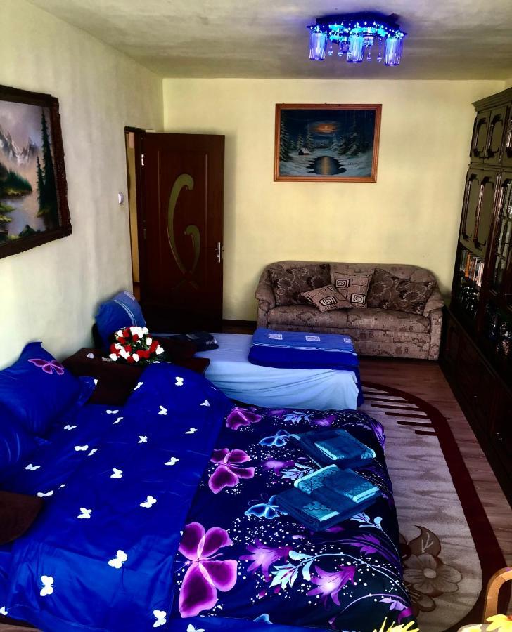 La Symo Apartament Straja Lupeni Lupeni  외부 사진