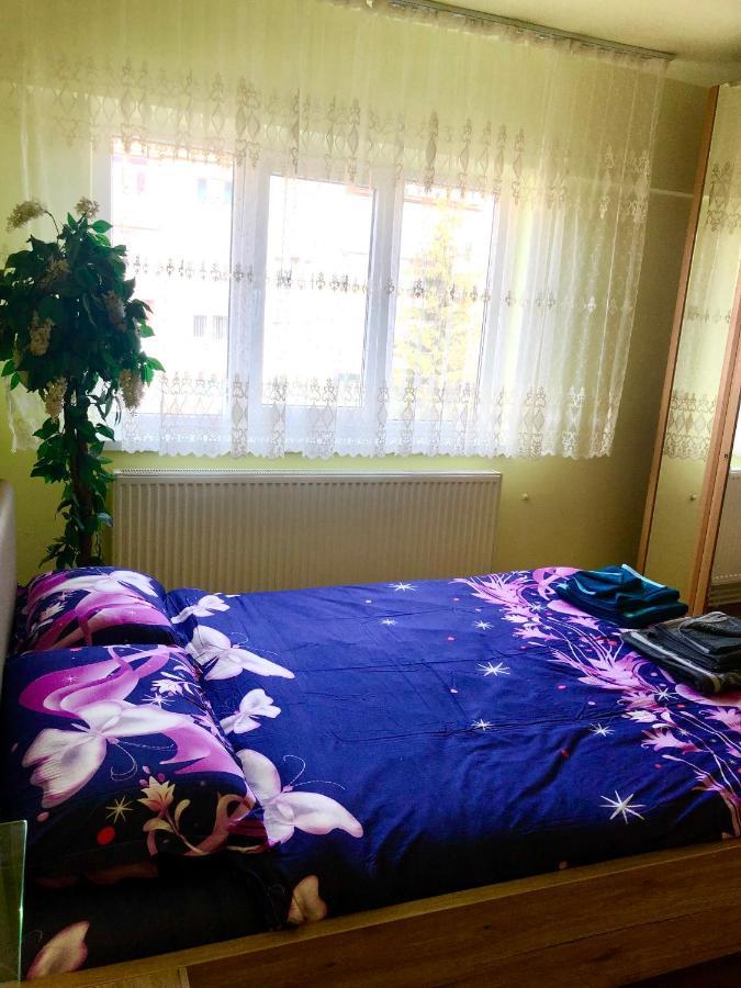 La Symo Apartament Straja Lupeni Lupeni  외부 사진