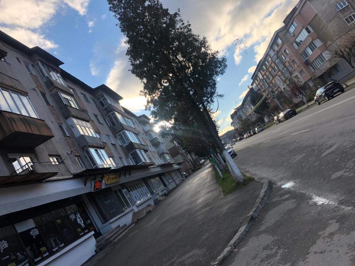 La Symo Apartament Straja Lupeni Lupeni  외부 사진